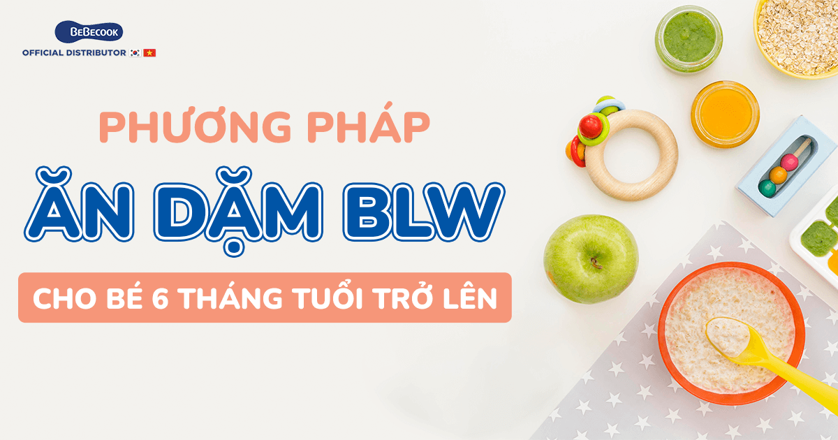 BeBecook - Phương pháp ăn dặm BLW cho bé 6 tháng tuổi trở lên